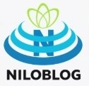 یادداشت های یک سوپر ولگرد